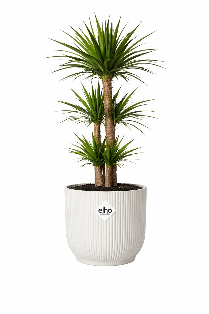 Woonkamer Statement Set