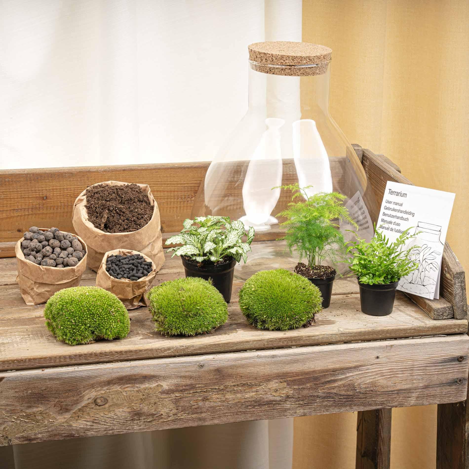 DIY Planten terrarium met licht - Sam XL Green - Ø 30 cm ↑ 32 cm - No tools