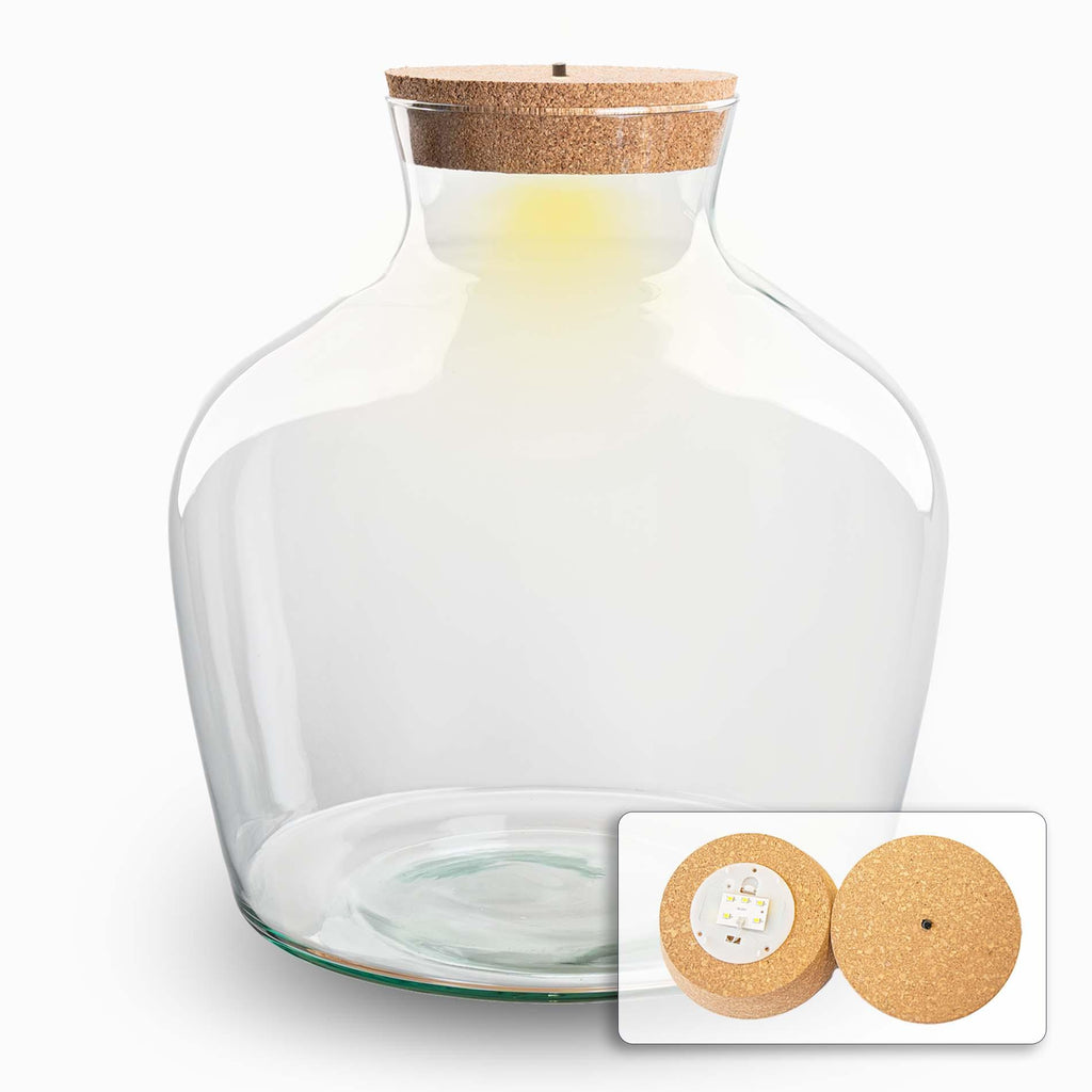 Terrarium fles met verlichting - Fat Joe - Ø 29 cm ↑ 30 cm