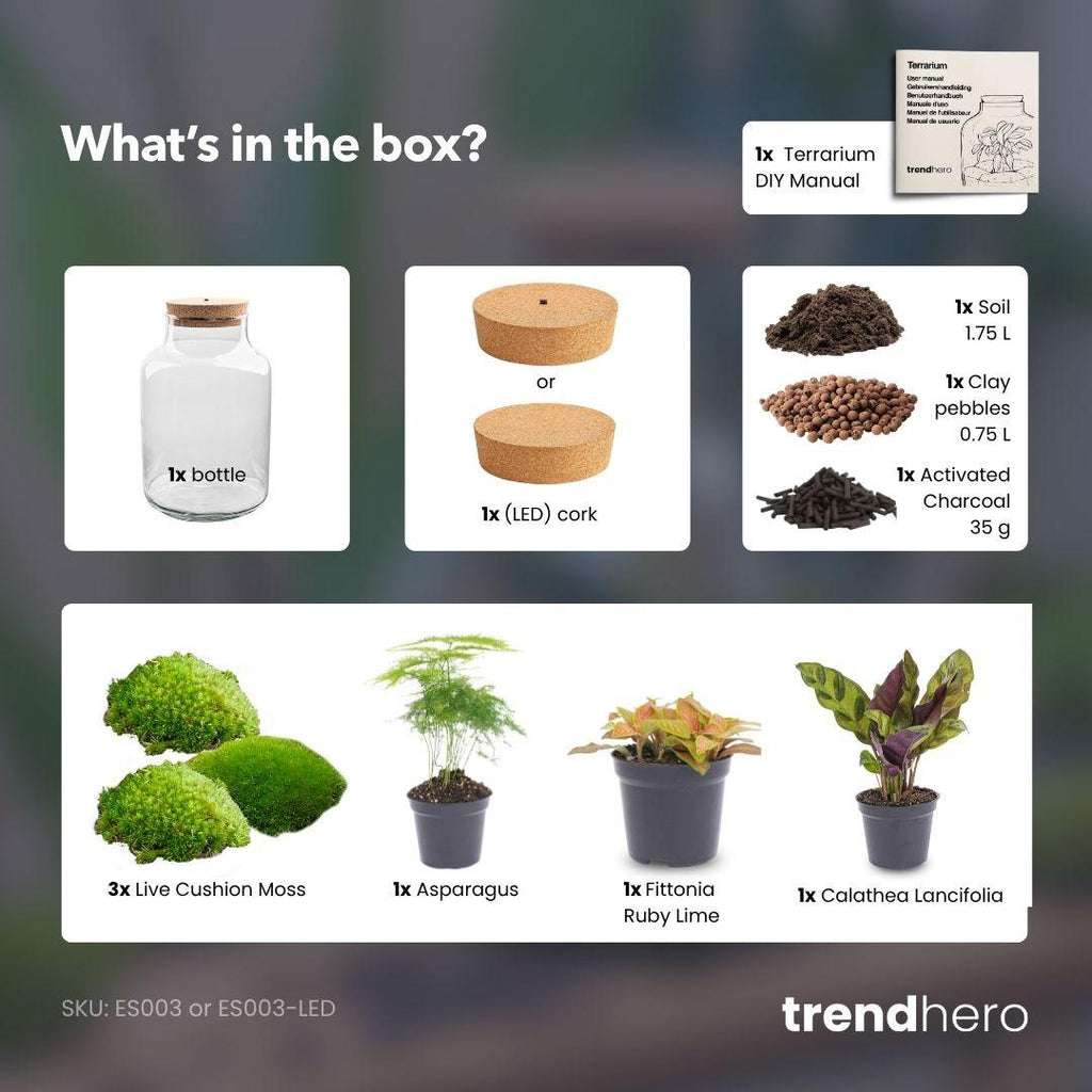 DIY Planten terrarium met licht - Milky - Ø 21 cm ↑ 30 cm - No tools