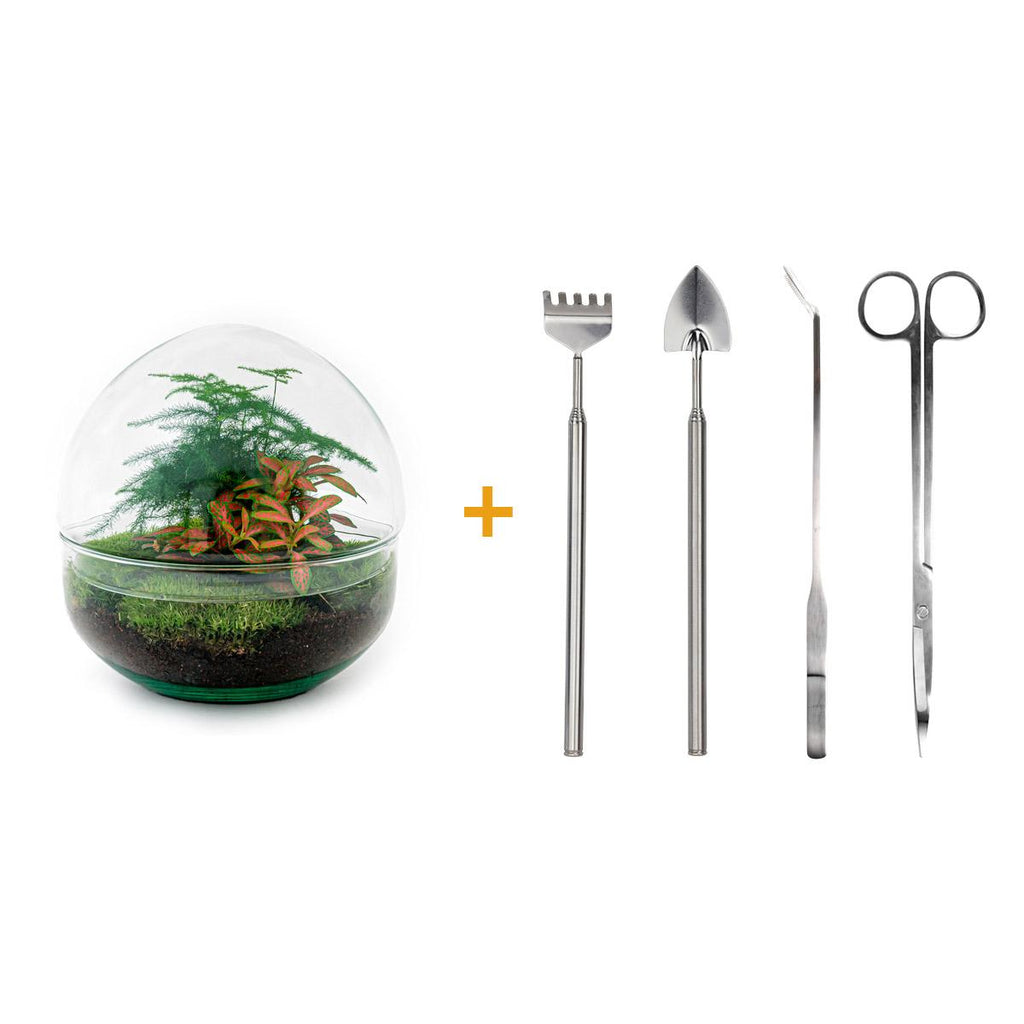 DIY Planten terrarium tweedelig bolglas - Dome Red - Ø 20 cm ↑ 20 cm   - Rake + Shovel + Tweezer + Scissors