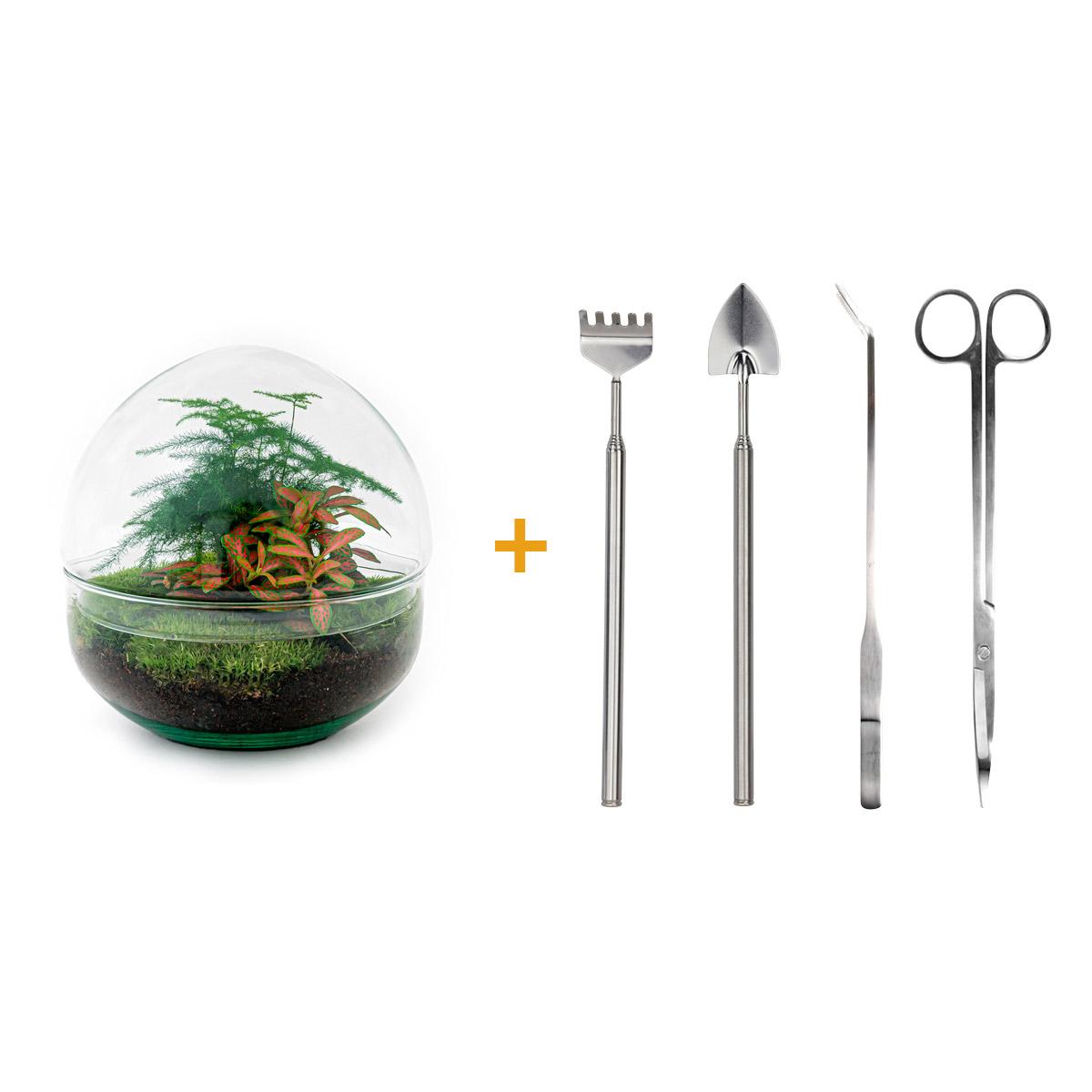 DIY Planten terrarium tweedelig bolglas - Dome Red - Ø 20 cm ↑ 20 cm   - Rake + Shovel + Tweezer + Scissors