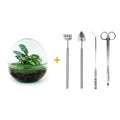 DIY Planten terrarium tweedelig bolglas - Dome - Ø 20 cm ↑ 20 cm - Rake + Shovel + Tweezer + Scissors