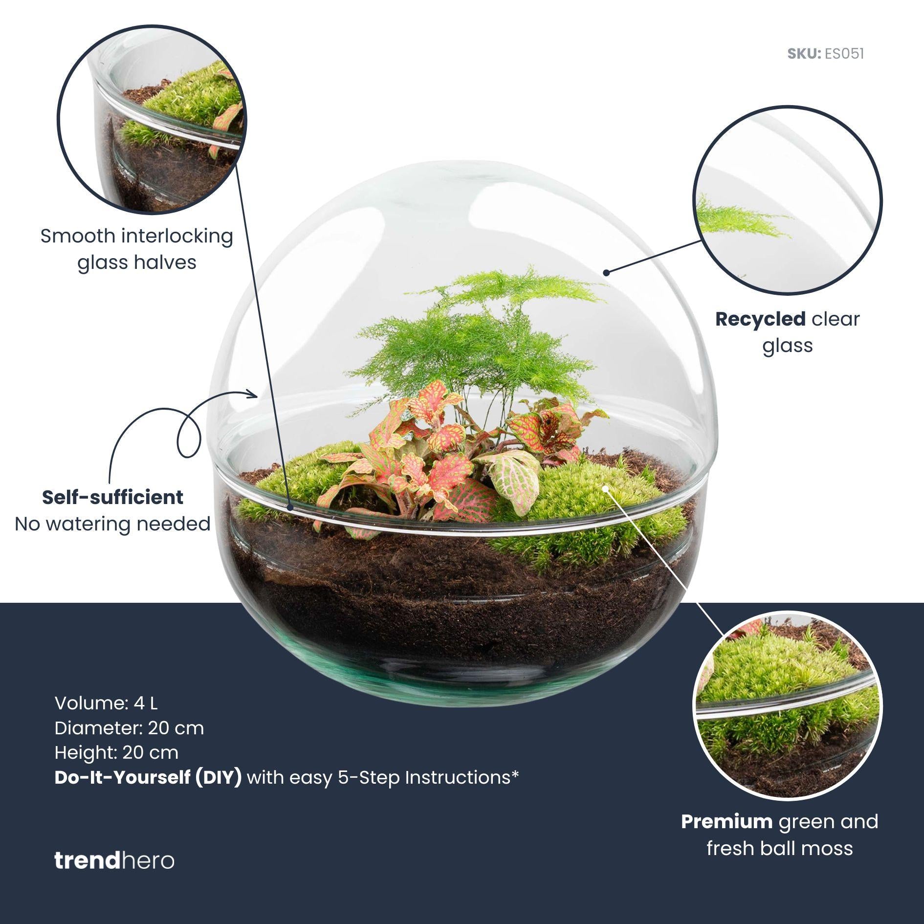 DIY Planten terrarium tweedelig bolglas - Dome Red - Ø 20 cm ↑ 20 cm   - Normal