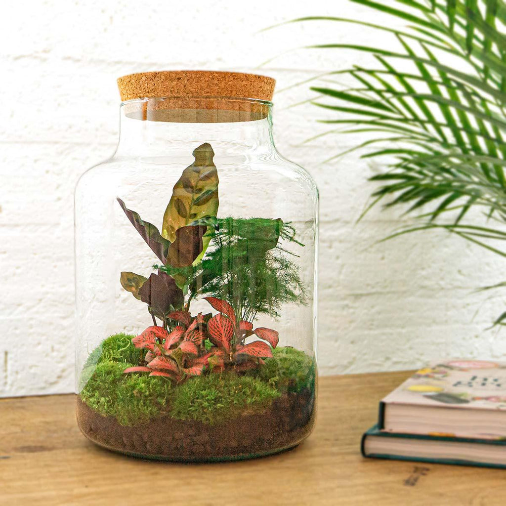 DIY Planten terrarium met licht - Milky - Ø 21 cm ↑ 30 cm - Rake + Shovel + Tweezer