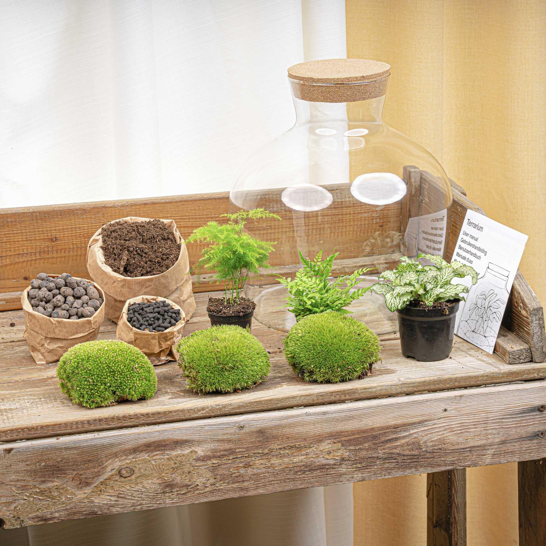 DIY Planten terrarium met licht - Fat Joe Green - Ø 29 cm ↑ 30 cm - No tools