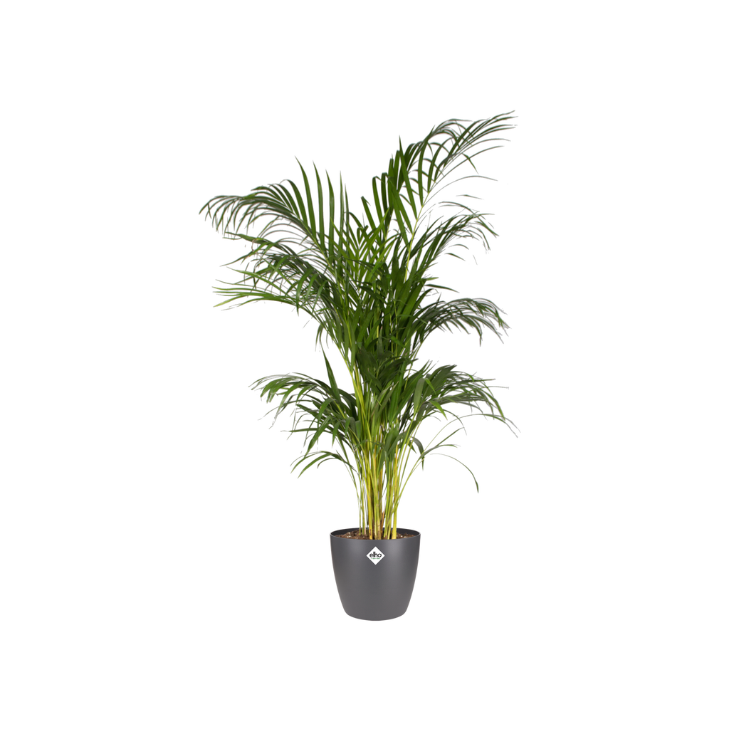 Pot elho Brussels Round Antraciet D30 x H27