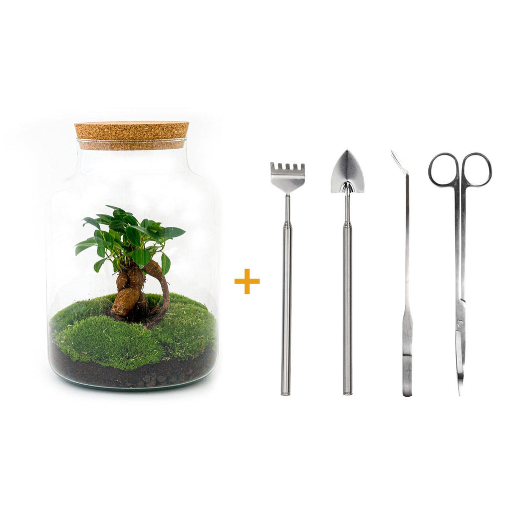 DIY Planten terrarium met licht - Milky Bonsai - Ø 21 cm ↑ 30 cm - Rake + Shovel + Tweezer + Scissors