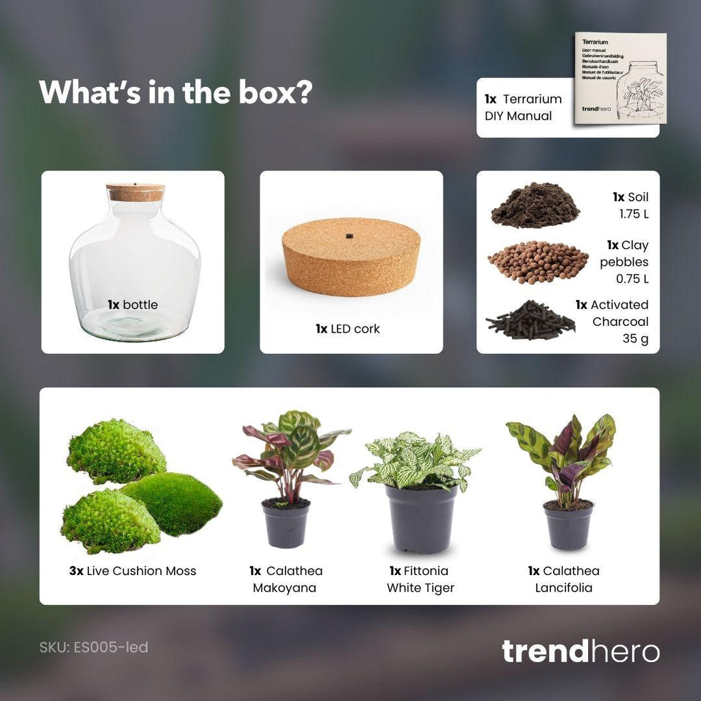 DIY Planten terrarium met licht -  Fat Joe - Ø 29 cm ↑ 30 cm - No tools