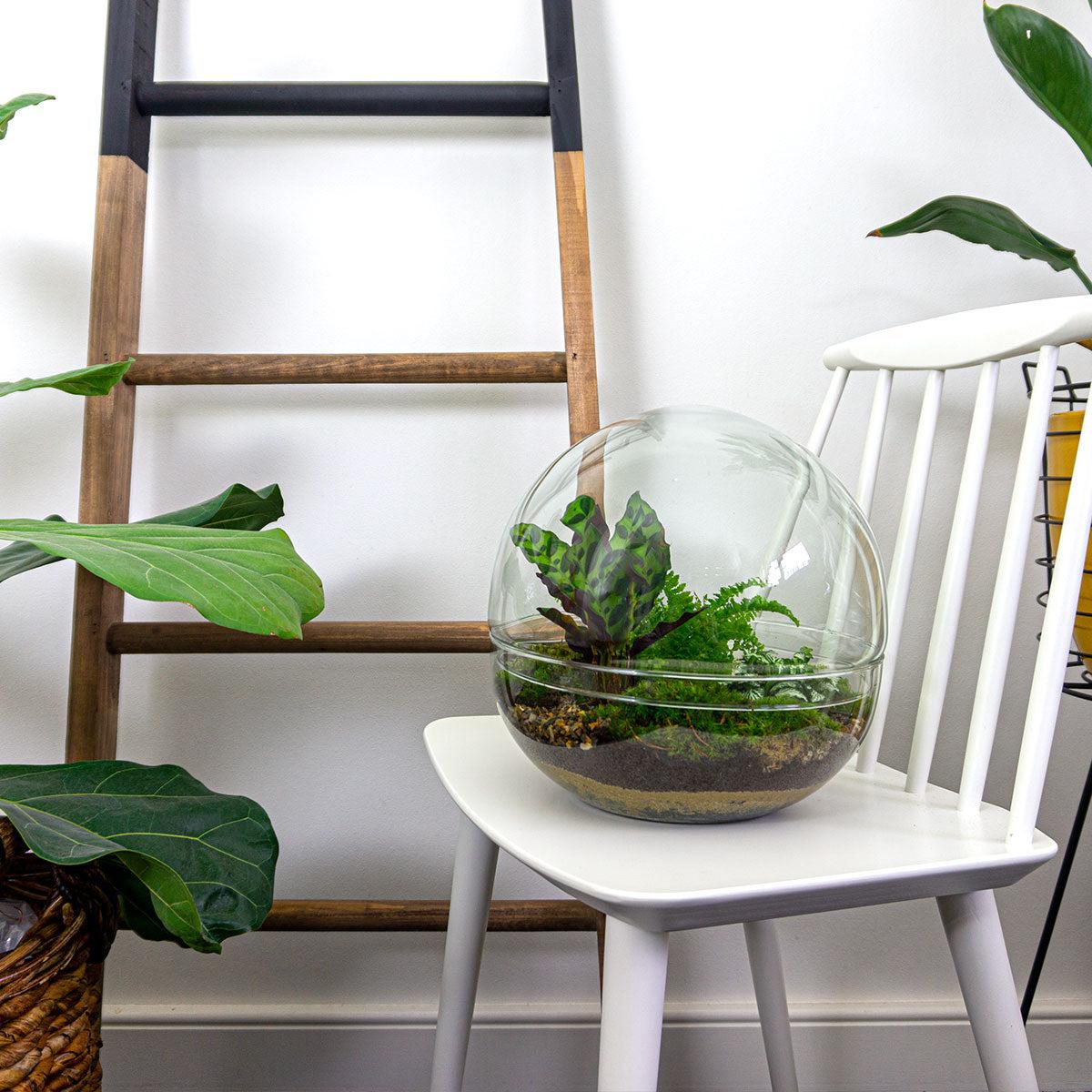 DIY Planten terrarium tweedelig bolglas - Dome XL -Ø 28 cm ↑ 28 cm - Rake + Shovel + Tweezer + Scissors