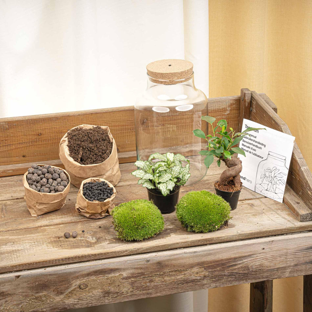 DIY Planten terrarium met licht - Little Milky Bonsai - Ø 17 cm ↑ 25 cm
