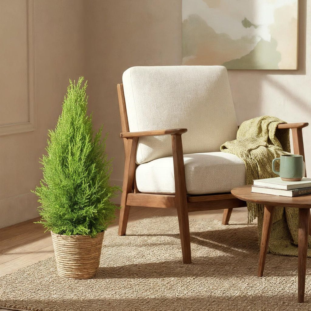 Green BoutiQ - Green is... Kamerplanten - Cupressus Gold Crest Wilma - Kamer conifeer - Weinig onderhoud - Groen - 1 Plant - Pot 21cm - Hoogte 85-95cm