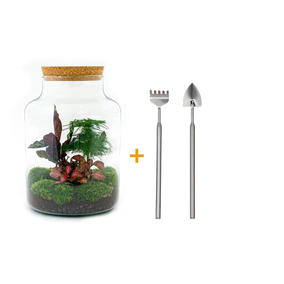 DIY Planten terrarium met licht - Milky - Ø 21 cm ↑ 30 cm - Rake + Shovel