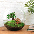 DIY Planten terrarium tweedelig bolglas - Dome XL Bonsai - Ø 28 cm ↑ 28 cm - Rake + Shovel