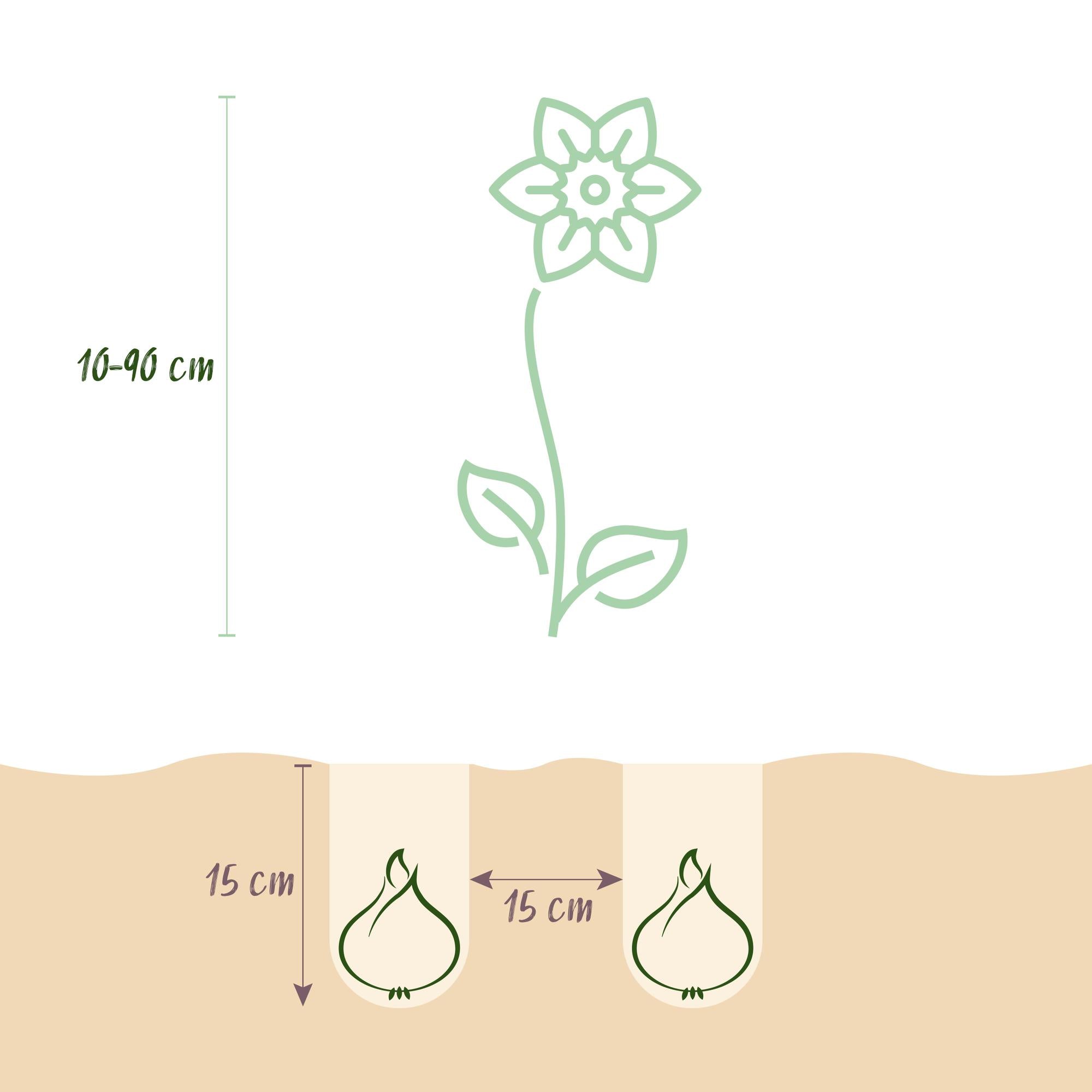 Green boutiQ - Bloembollen - Bulb Garden Pink mix - Diversen soorten - Kleur Roze - 125 stuks - Gift Verpakking