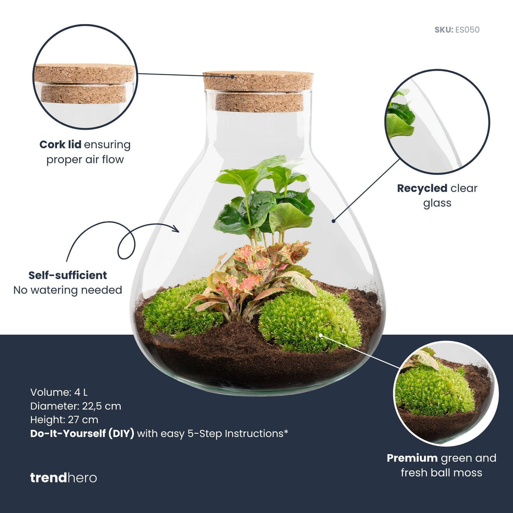 DIY terrarium - Sammie Coffea Red - Ø 22,5 cm ↑ 27 cm - No tools