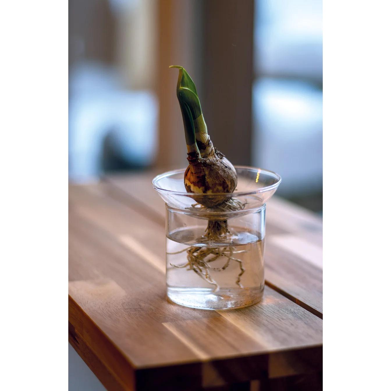 Propagation vase M - Ø 9 cm ↕ 11,5 cm