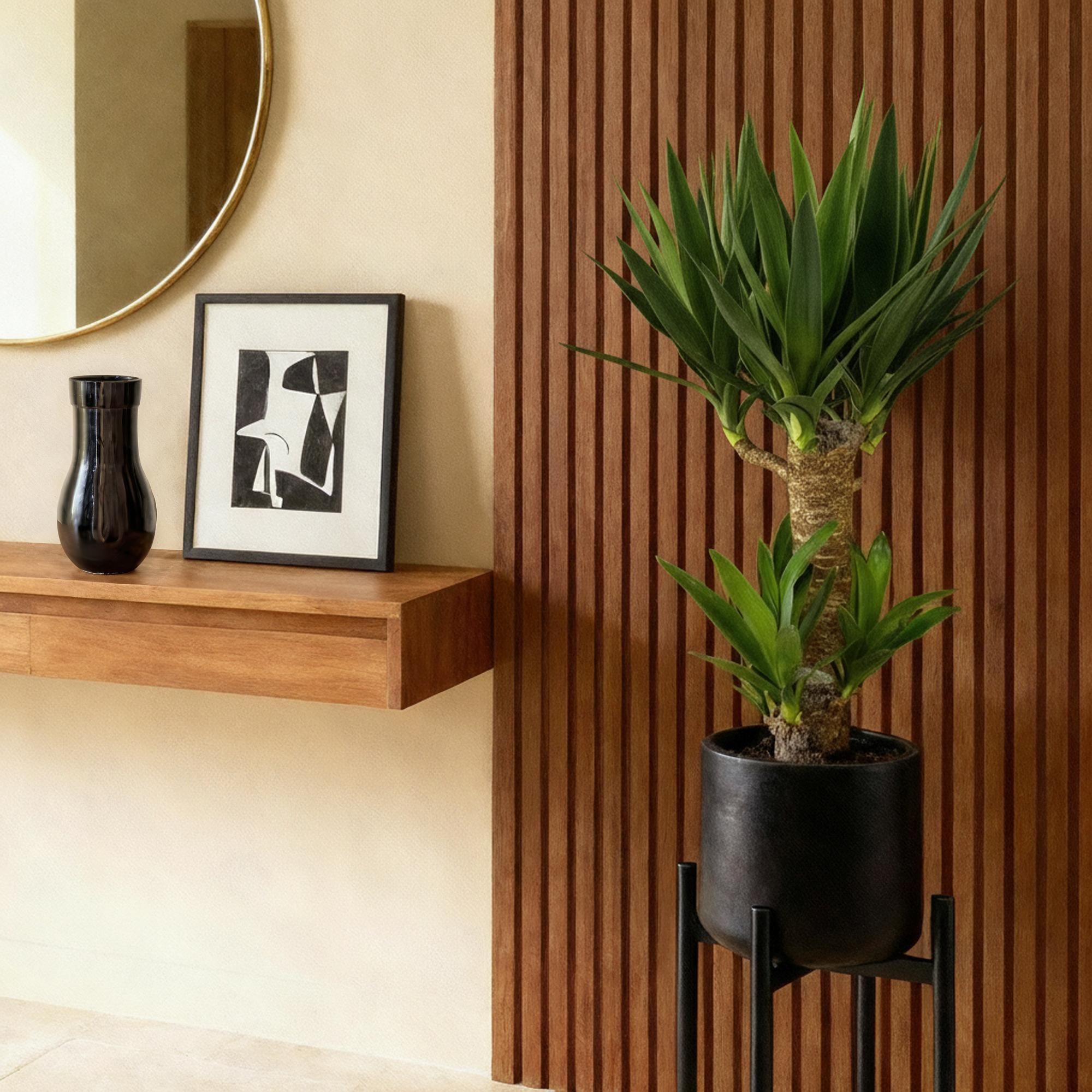 Green boutiQ - Kamerplant - Yucca elephantipes - Yucca - Weinig onderhoud - Groen - 2 - Pot 17cm - Hoogte 75cm