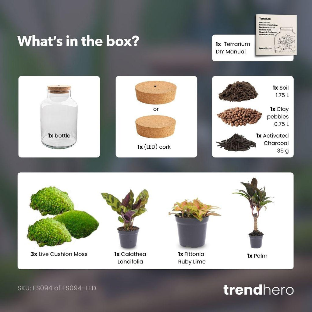 DIY Planten terrarium met licht - Milky Palm - Ø 21 cm ↑ 30 cm
