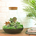 DIY Planten terrarium met licht - Sam XL Red - Ø 30 cm ↑ 32 cm - Rake + Shovel + Tweezer