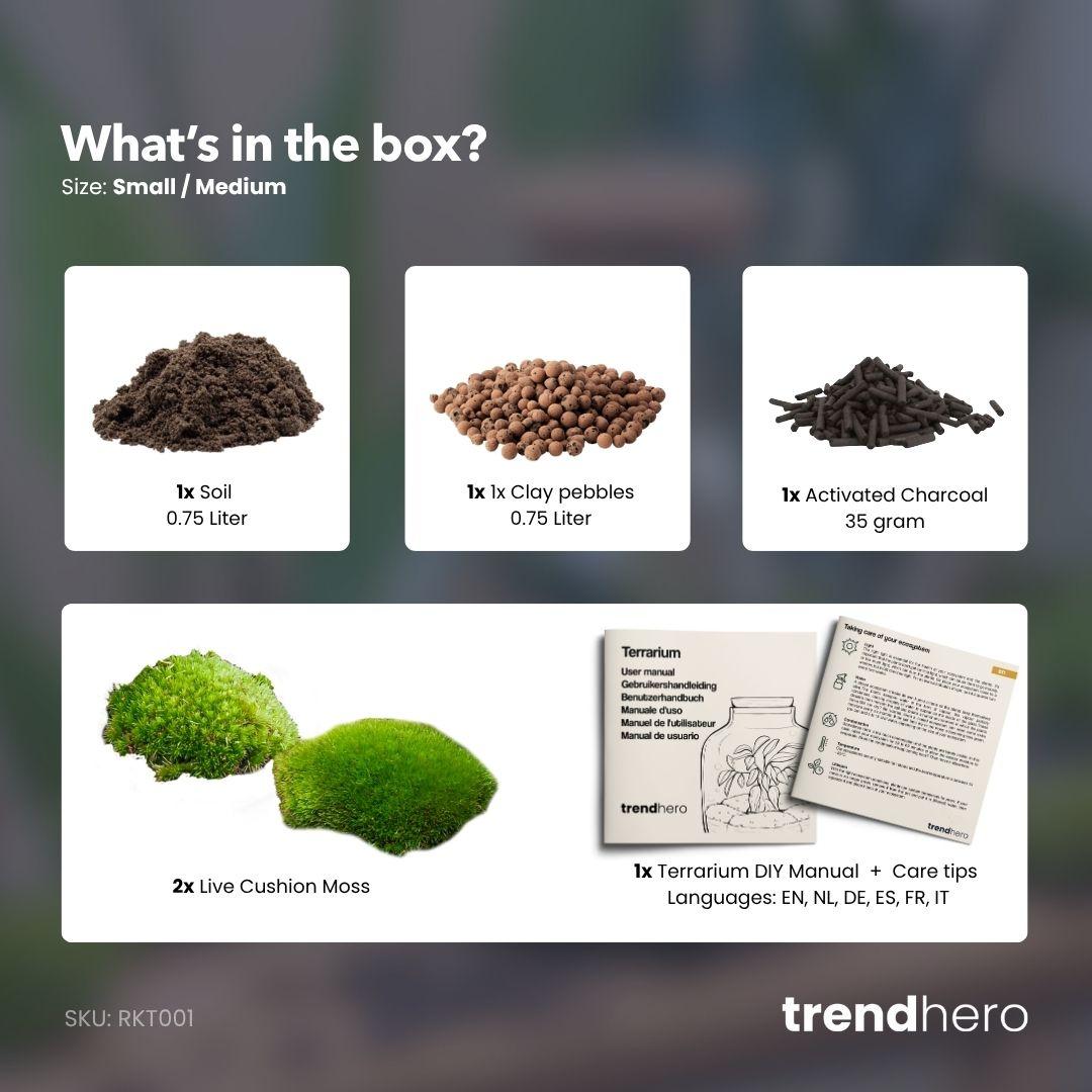 Planten terrarium navulling & startpakket - Maat S/M