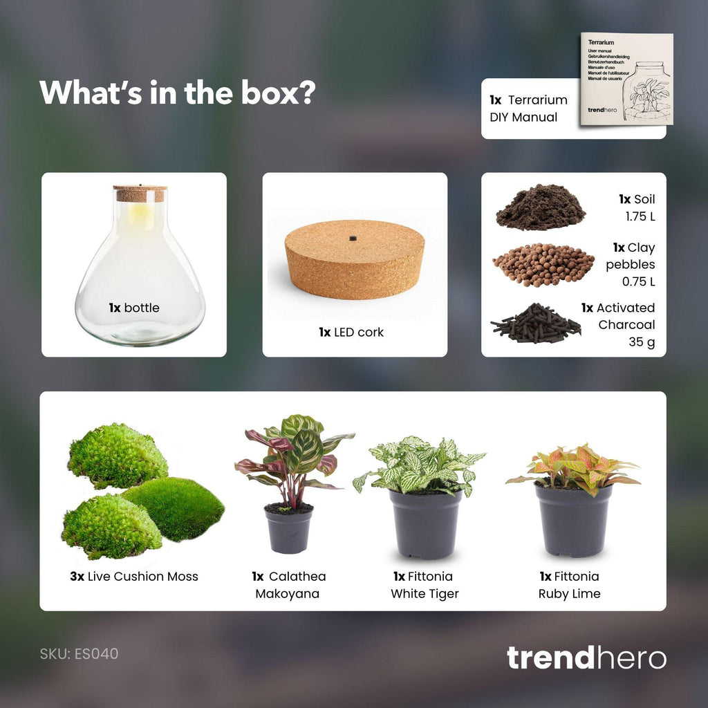 DIY Planten terrarium met licht - Sam XL Red - Ø 30 cm ↑ 32 cm - No tools