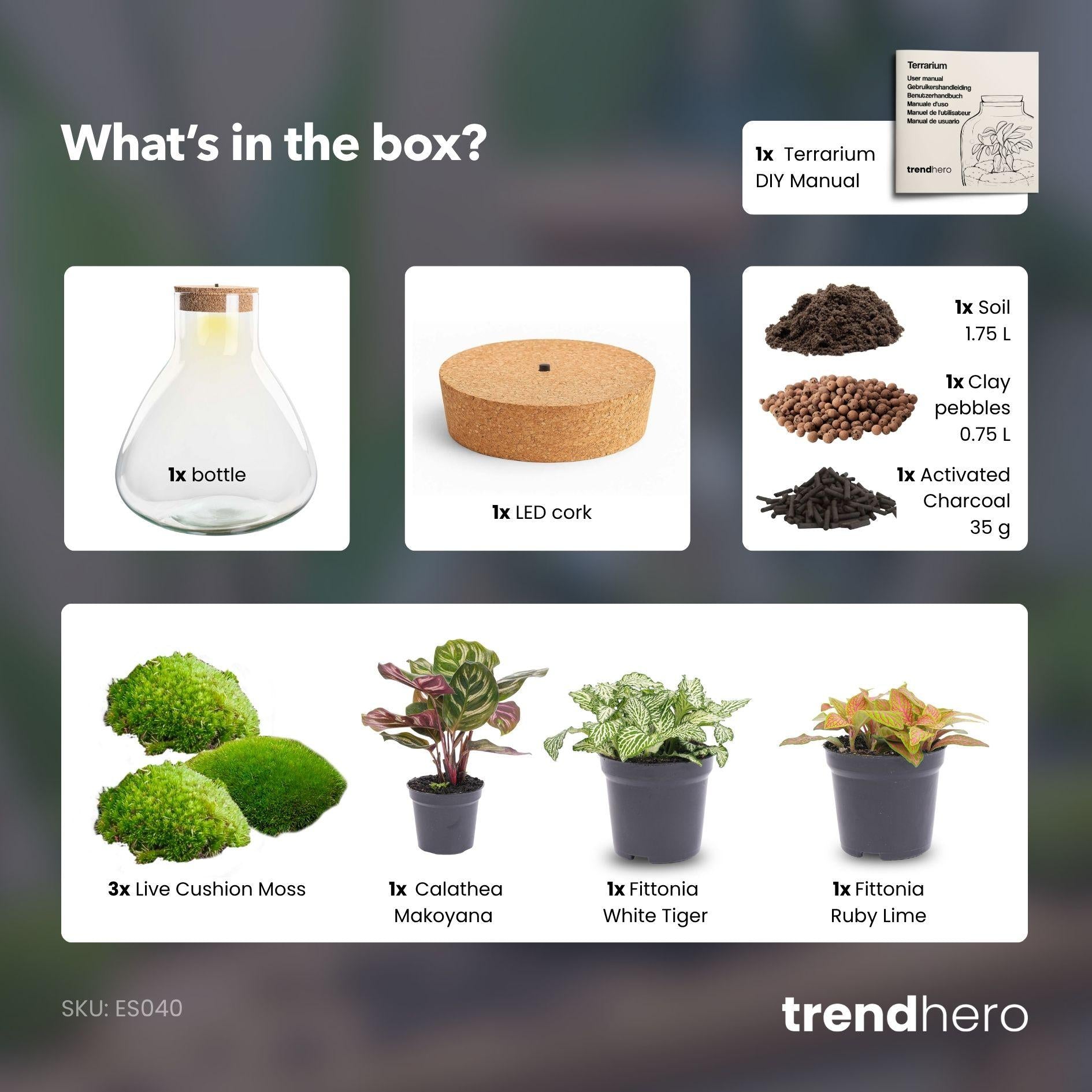 DIY Planten terrarium met licht - Sam XL Red - Ø 30 cm ↑ 32 cm - No tools