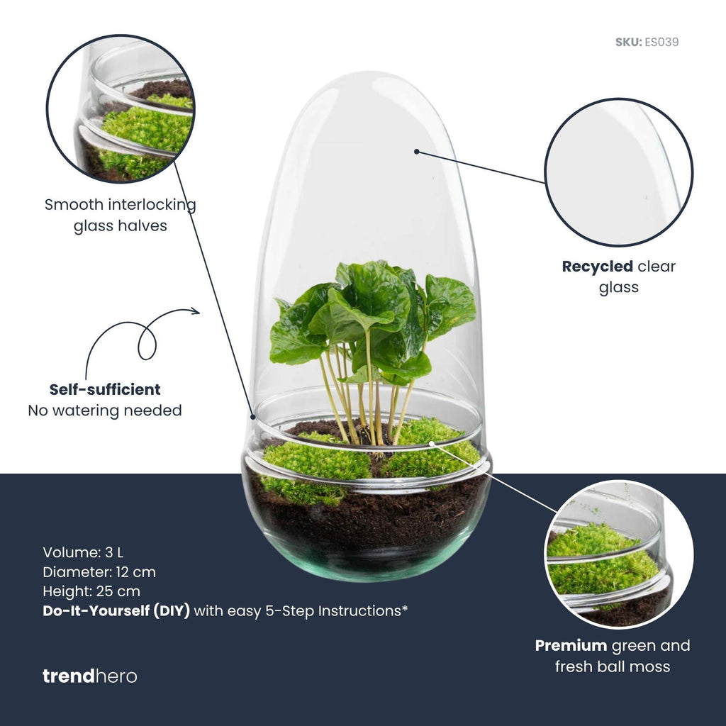 DIY Planten terrarium tweedelig bolglas - Egg Coffea - Ø 12 cm ↑ 25 cm