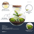 DIY Planten terrarium (met licht) - Teddy - Ø 25 cm ↑ 26,5 cm - Met LED-kurk