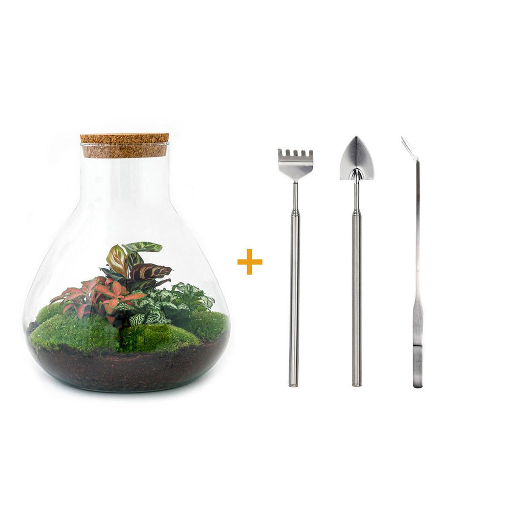 DIY Planten terrarium met licht - Sam XL Red - Ø 30 cm ↑ 32 cm - Rake + Shovel + Tweezer