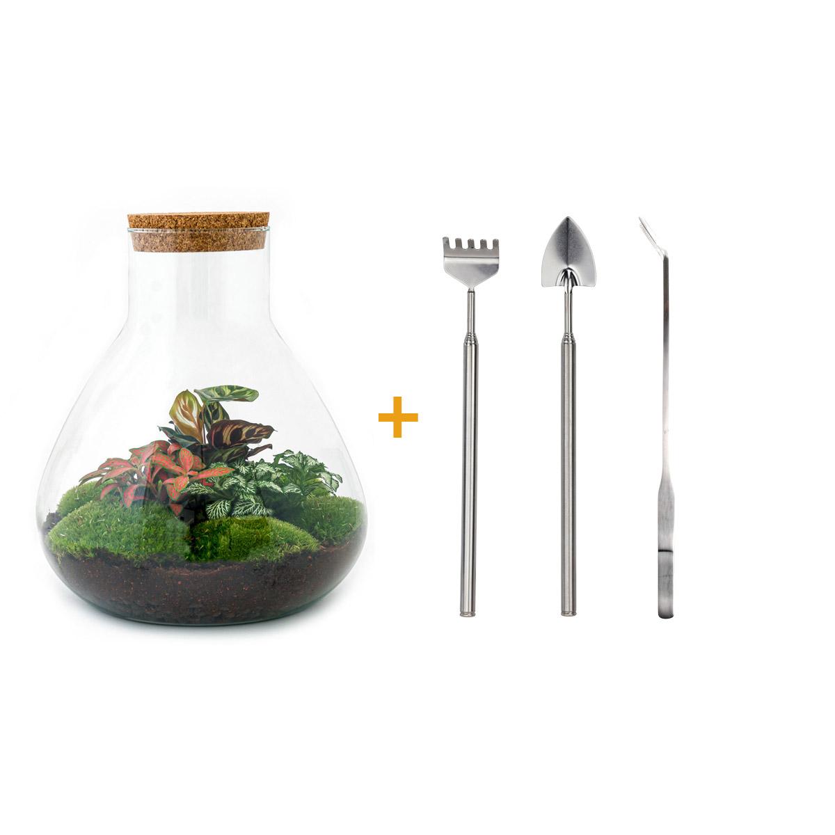 DIY Planten terrarium met licht - Sam XL Red - Ø 30 cm ↑ 32 cm - Rake + Shovel + Tweezer