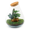 DIY Planten terrarium - Drop XL Palm - Ø 24 cm ↑ 37 cm - Rake + Shovel + Tweezer