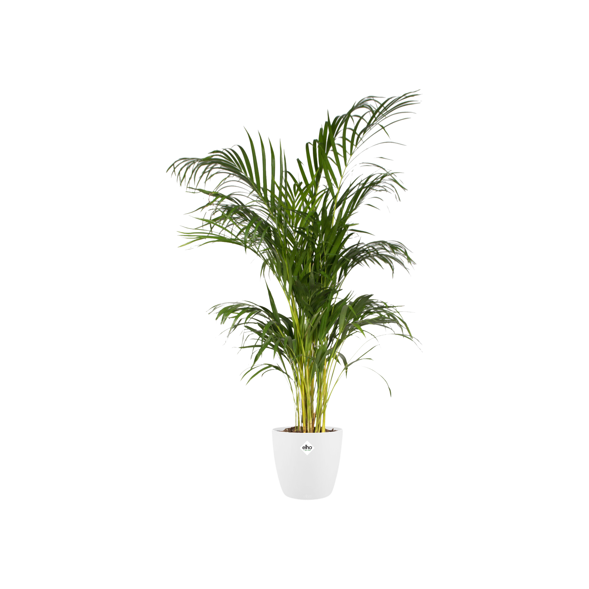 Pot elho Brussels Round Wit D30 x H27