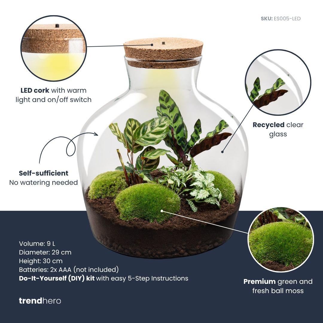 DIY Planten terrarium met licht -  Fat Joe - Ø 29 cm ↑ 30 cm - No tools