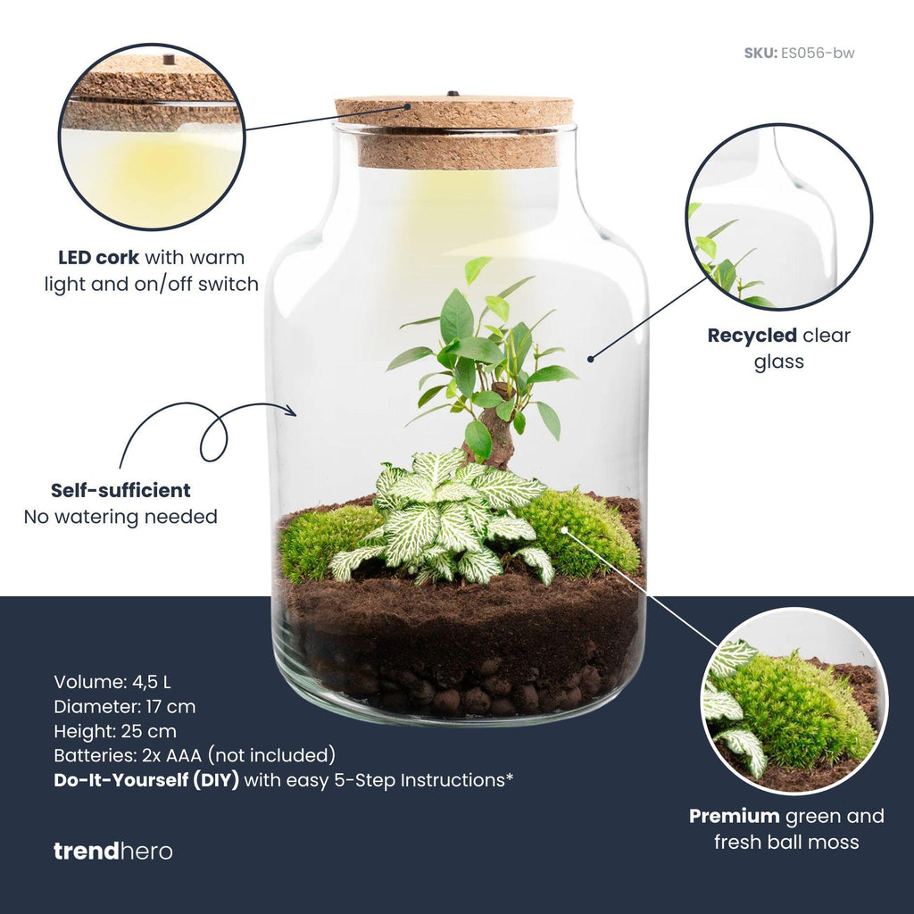 DIY Planten terrarium met licht - Little Milky Bonsai - Ø 17 cm ↑ 25 cm