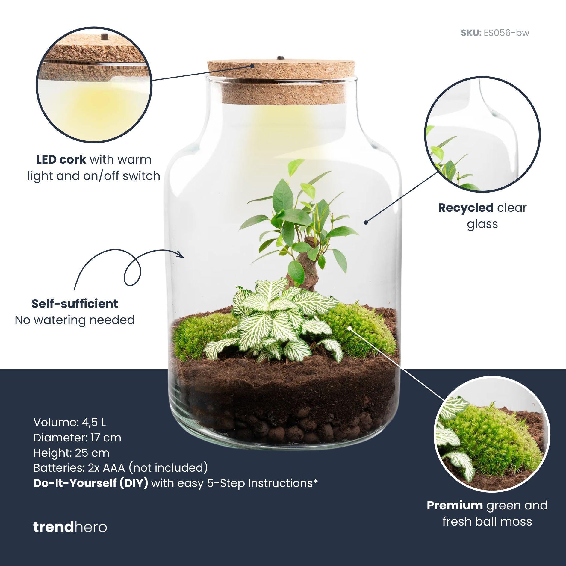DIY Planten terrarium met licht - Little Milky Bonsai - Ø 17 cm ↑ 25 cm