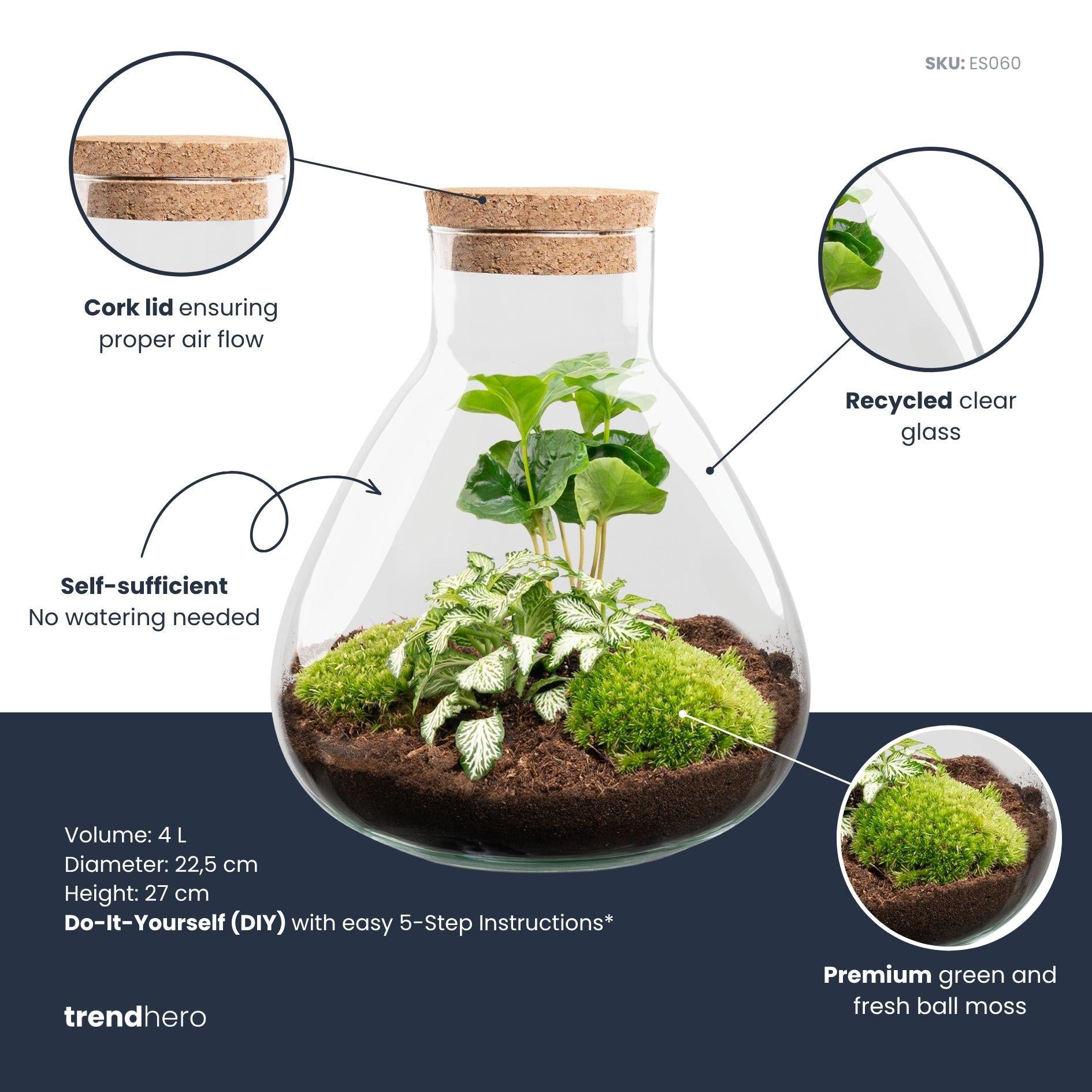 DIY Planten terrarium – Sammie Coffea White – ↕ 27 cm
