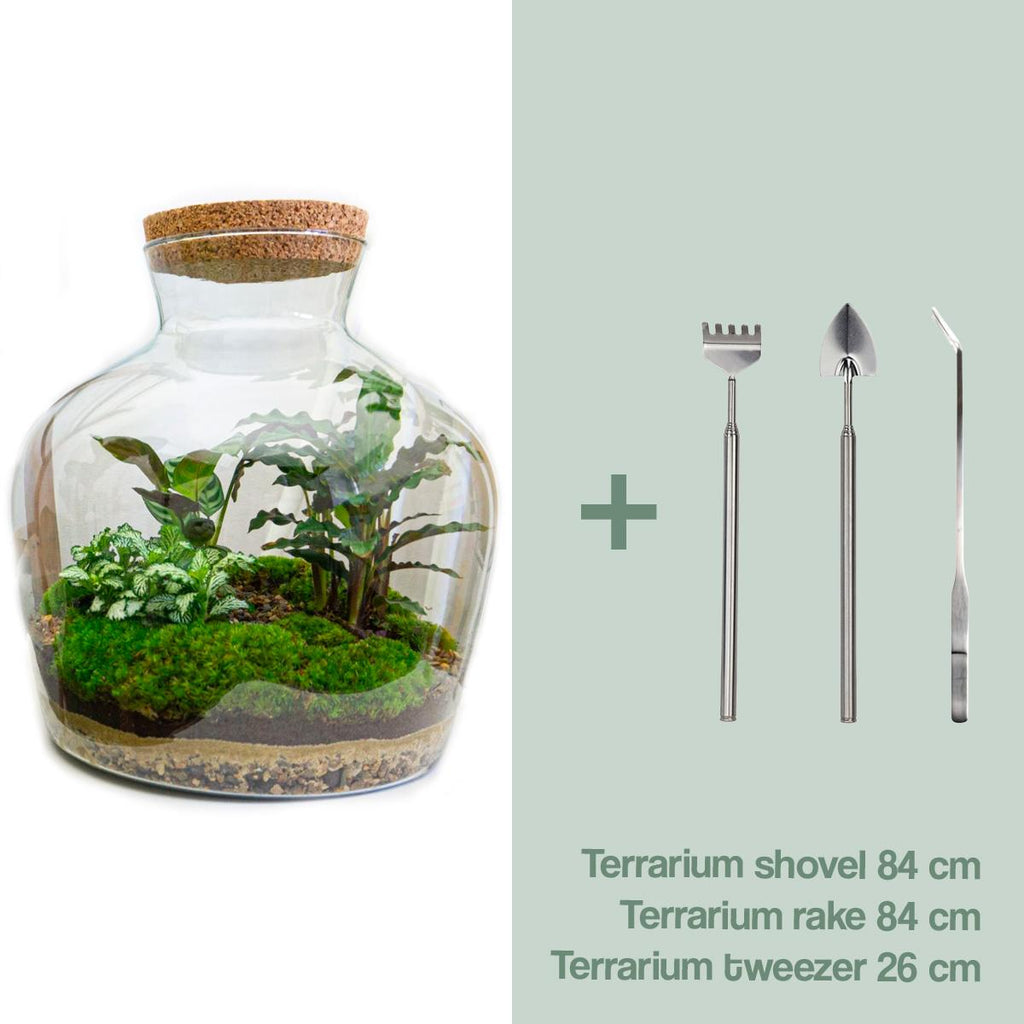 DIY Planten terrarium met licht -  Fat Joe - Ø 29 cm ↑ 30 cm - Rake + Shovel + Tweezer