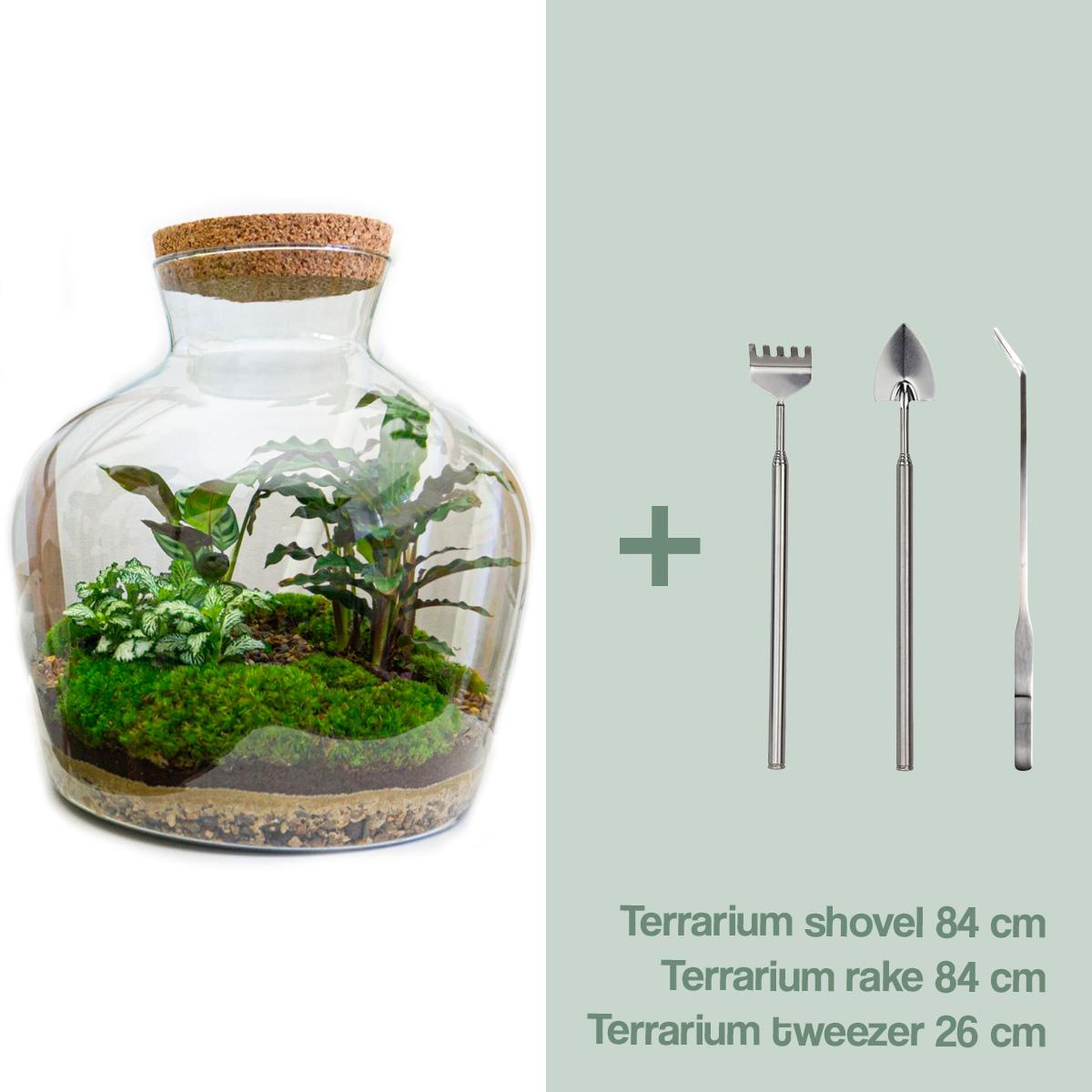 DIY Planten terrarium met licht -  Fat Joe - Ø 29 cm ↑ 30 cm - Rake + Shovel + Tweezer