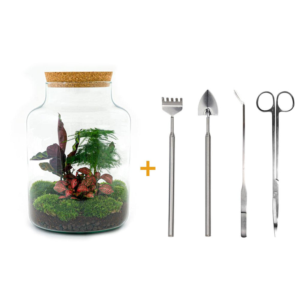 DIY Planten terrarium met licht - Milky - Ø 21 cm ↑ 30 cm - Rake + Shovel + Tweezer + Scissors