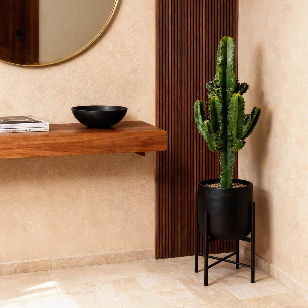 Green boutiQ - Kamerplant - Euphorbia eritrea - Afrikaanse melkboom - Weinig onderhoud - Groen - 1 - Pot 17cm - Hoogte 60cm