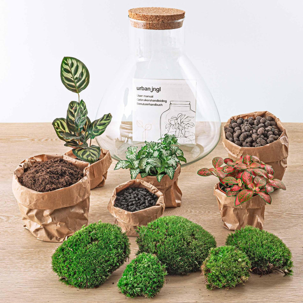 DIY Planten terrarium met licht - Sam XL Red - Ø 30 cm ↑ 32 cm - Rake + Shovel + Tweezer + Scissors