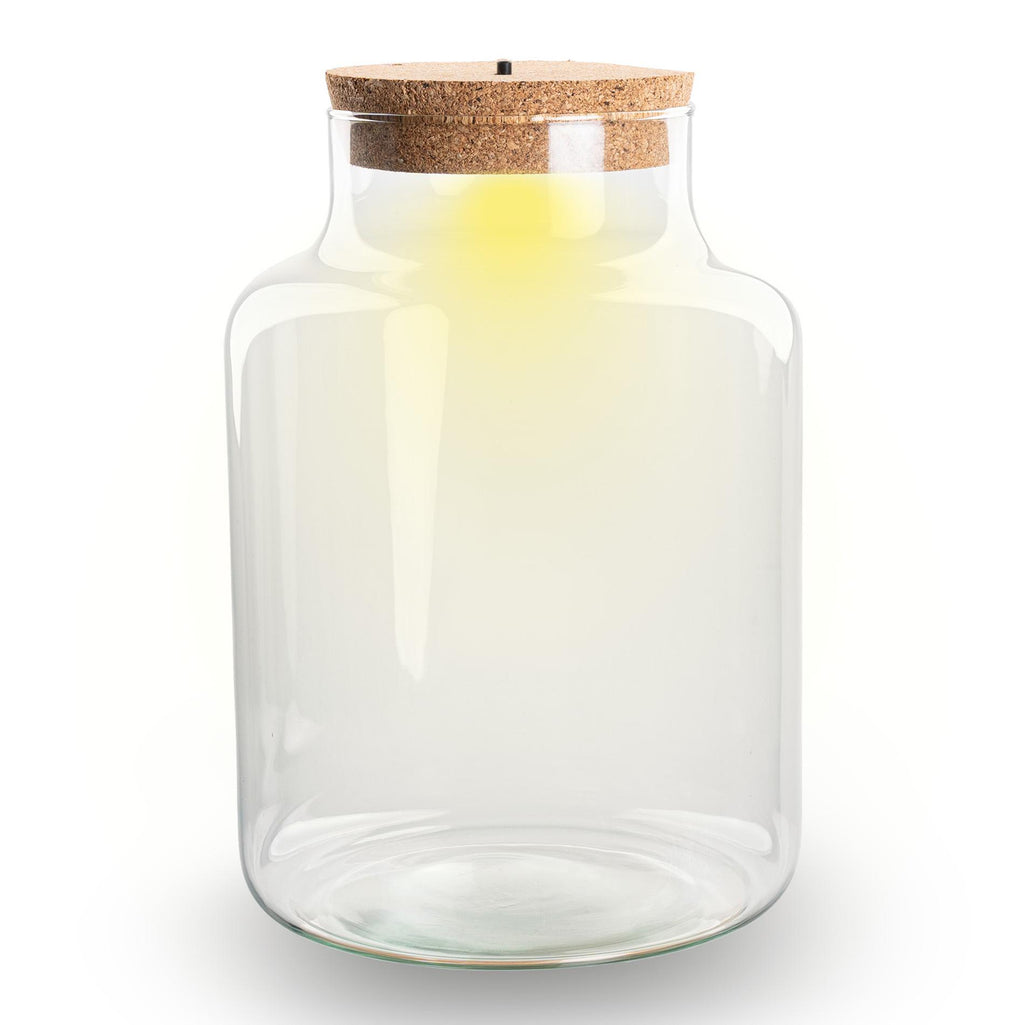 Terrarium fles met verlichting - Little Milky - Ø 17 cm ↑ 25 cm