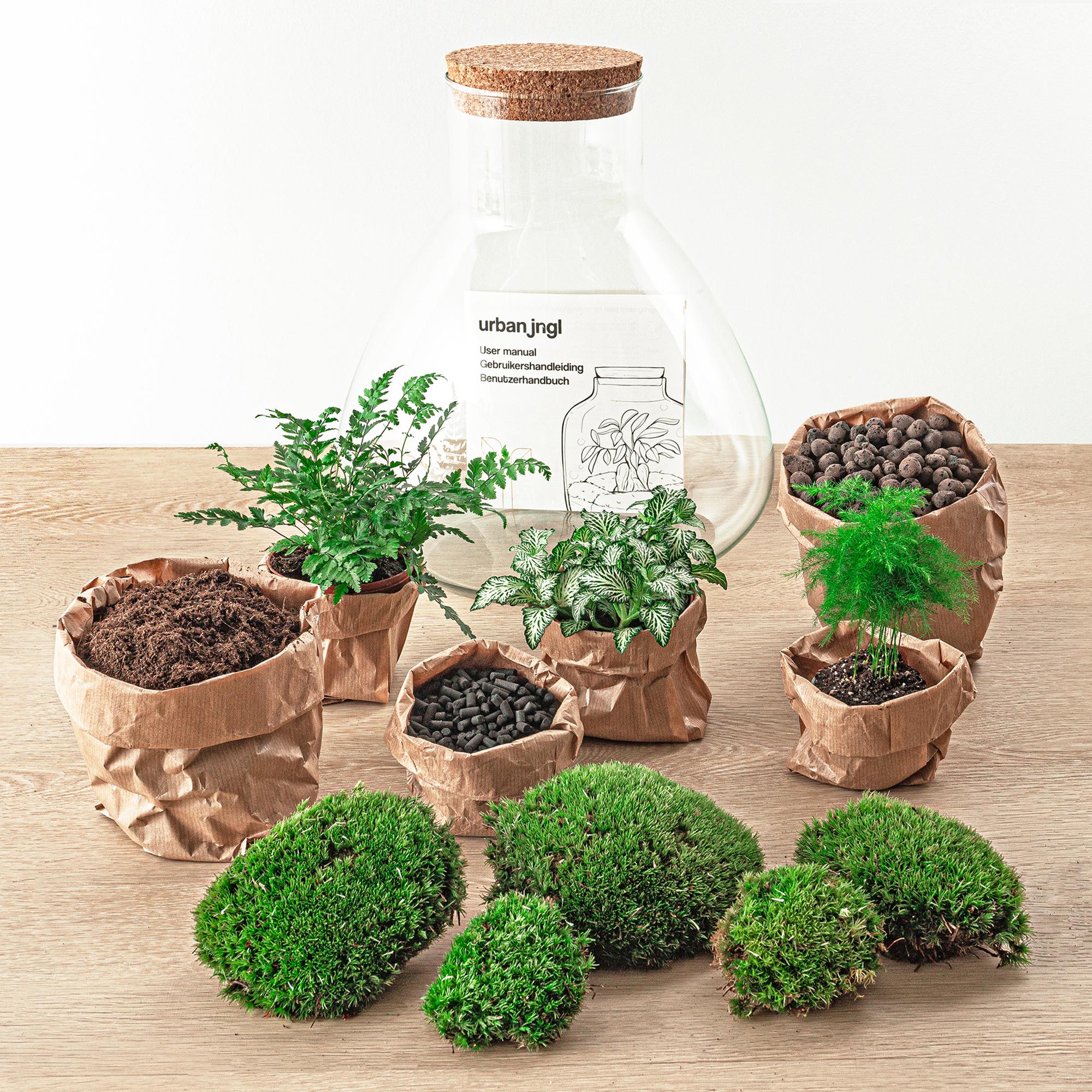 DIY Planten terrarium met licht - Sam XL Green - Ø 30 cm ↑ 32 cm - Rake + Shovel + Tweezer + Scissors