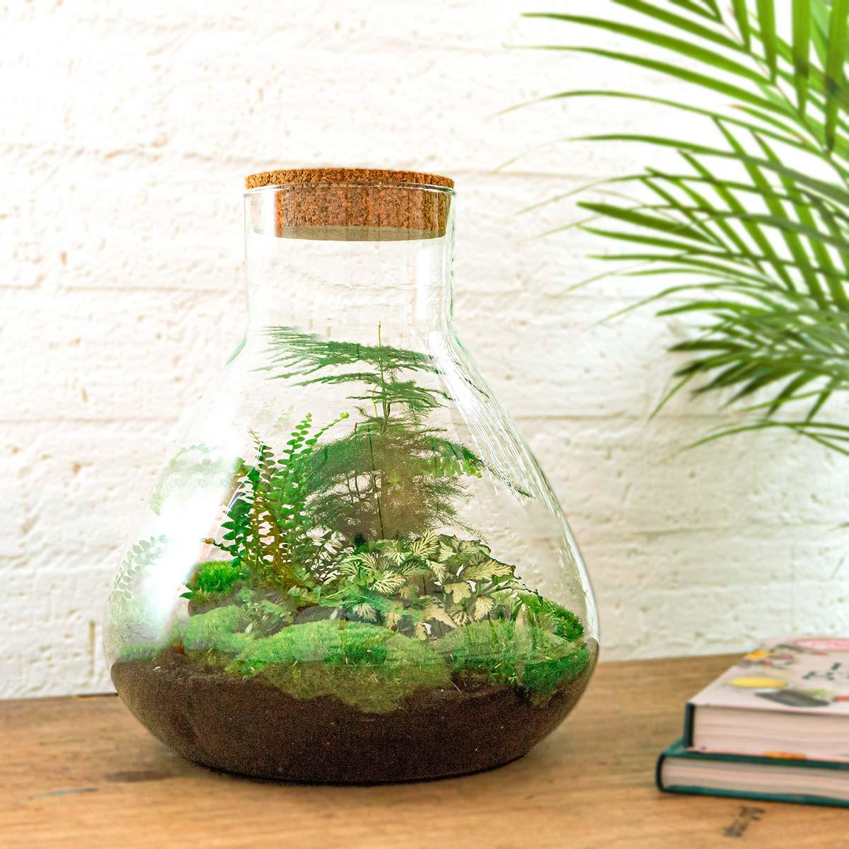 DIY Planten terrarium met licht - Sam XL Green - Ø 30 cm ↑ 32 cm - Rake + Shovel