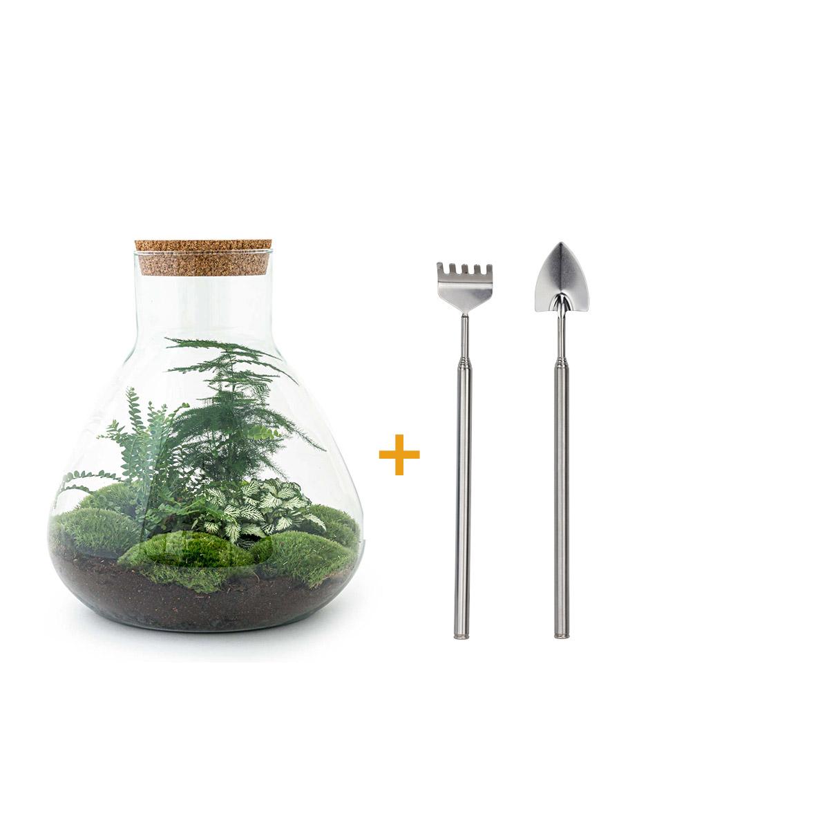 DIY Planten terrarium met licht - Sam XL Green - Ø 30 cm ↑ 32 cm - Rake + Shovel