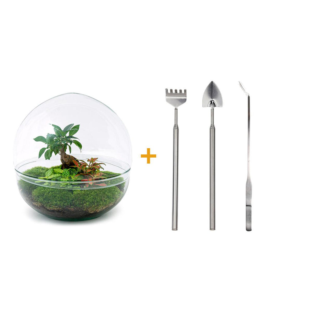 DIY Planten terrarium tweedelig bolglas - Dome XL Bonsai - Ø 28 cm ↑ 28 cm - Rake + Shovel + Tweezer