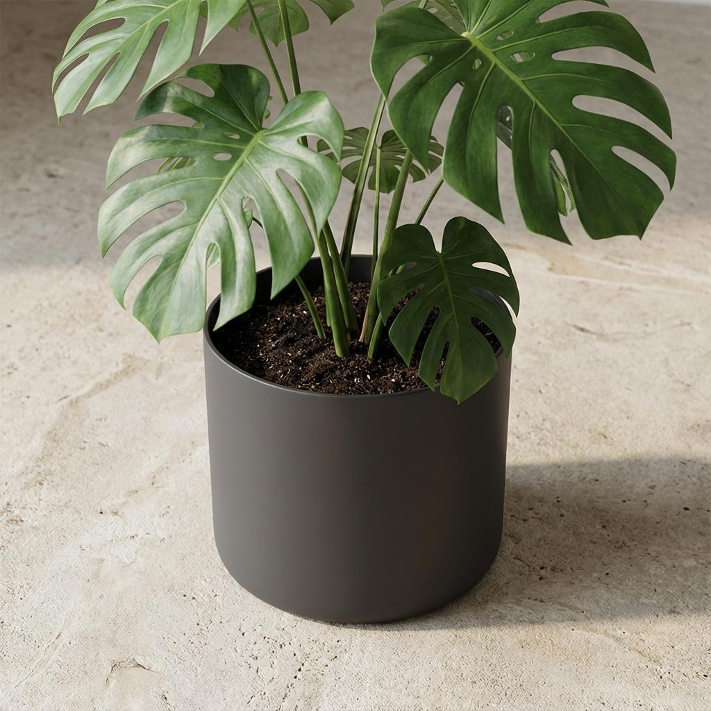 Elho B.for soft Antraciet - 35cm