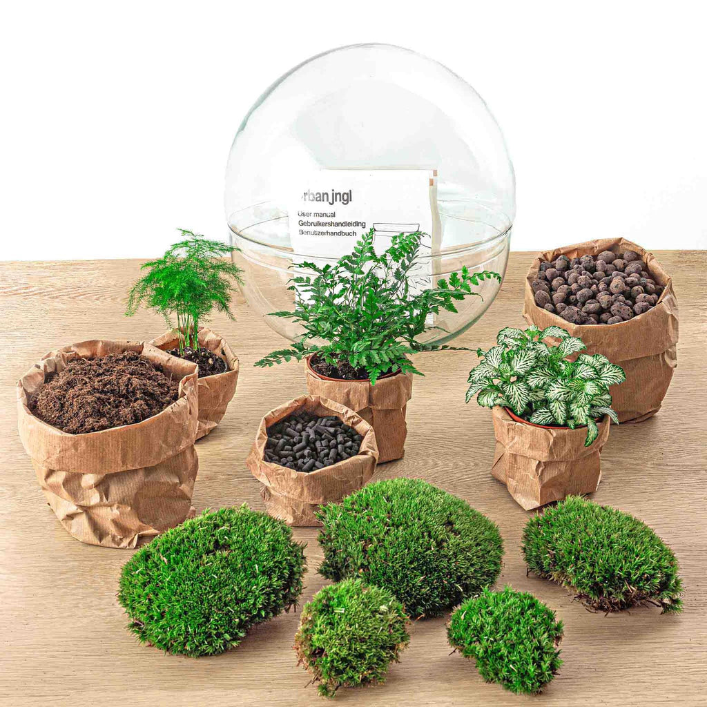DIY Planten terrarium tweedelig bolglas - Dome XL -Ø 28 cm ↑ 28 cm - Rake + Shovel + Tweezer + Scissors