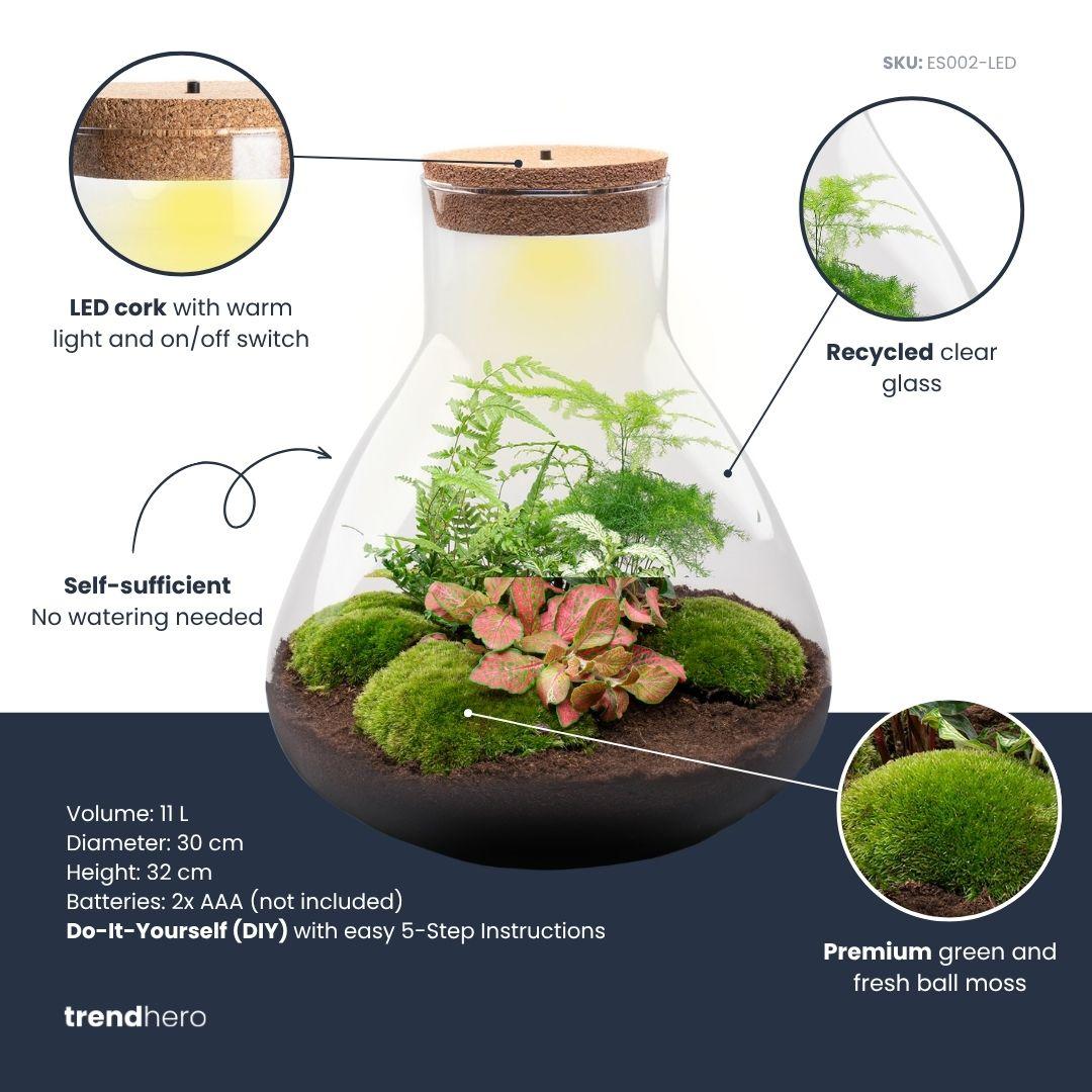 DIY Planten terrarium met licht - Sam XL Red - Ø 30 cm ↑ 32 cm - No tools